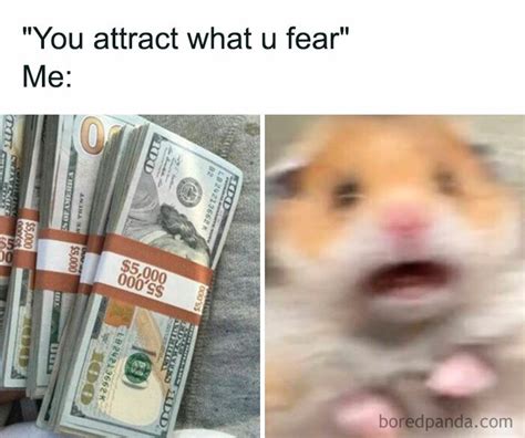 Money Meme 的图像结果