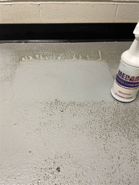 Robert Picaroni on LinkedIn: Medama Floor Care-A Better Way. I was ...