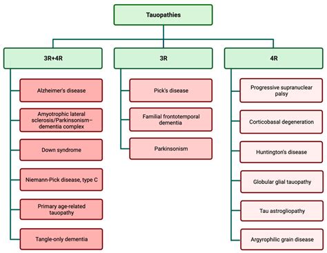 Tau; One Protein, So Many Diseases