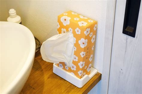 Image result for Standing Tissue Box