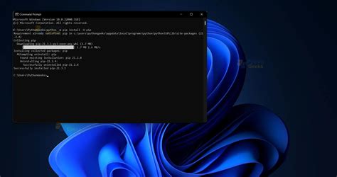 PIP Install From Python Shell 的图像结果
