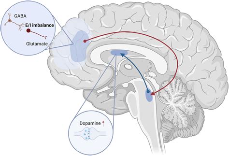 New Drug Treatments for Schizophrenia: A Review of Approaches to Target ...