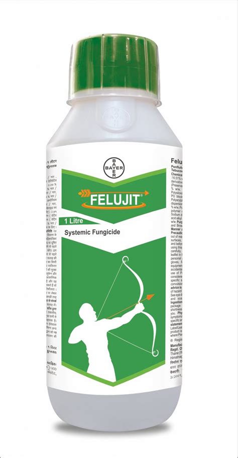 Bayer launches Felujit for Sheath Blight control in Paddy cultivation ...