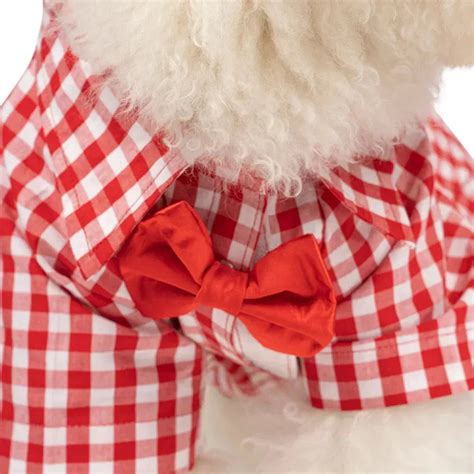 Buy ZL Gingham Glam Dog Shirt Medium Online | Zigly