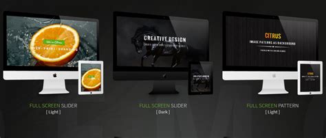 citrus v2 2 creative one page multi purpose theme