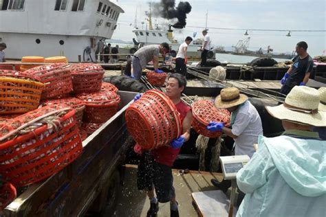 中国水产舟山海洋渔业公司-新闻动态