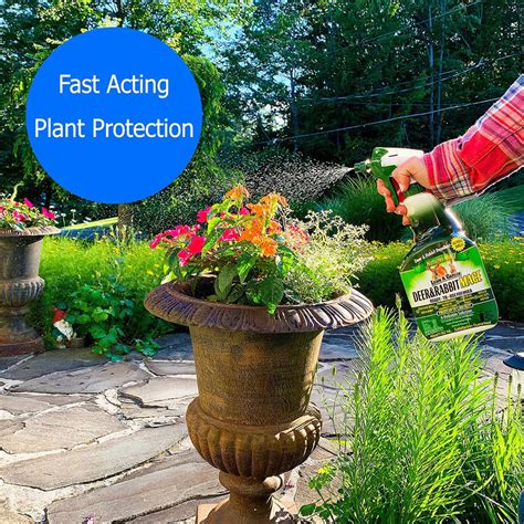 Deer & Rabbit Repellent Concentrate | Plant Addicts