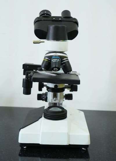 Entomology Lab at IIAST – Researching Beneficial and Pest Insects