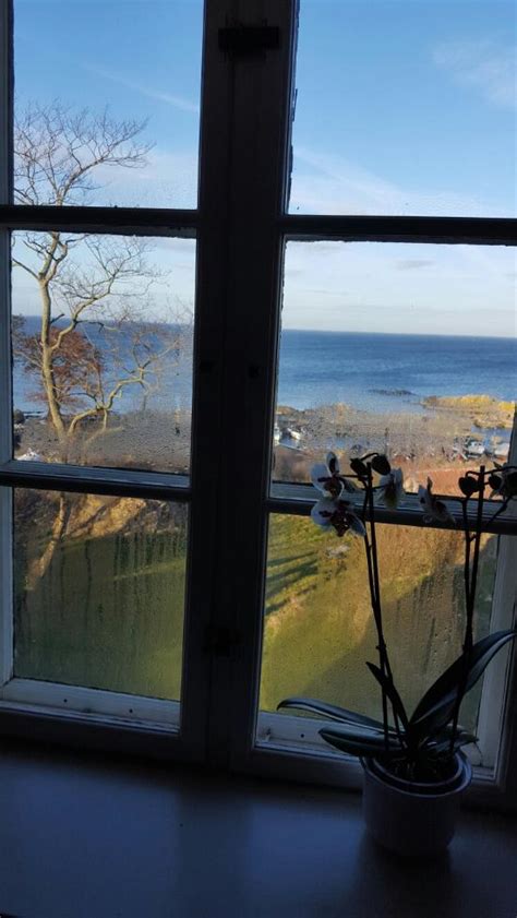 PENSION DANCHELSHUS (Allinge, Bornholm, Denmark) - Pension Reviews ...