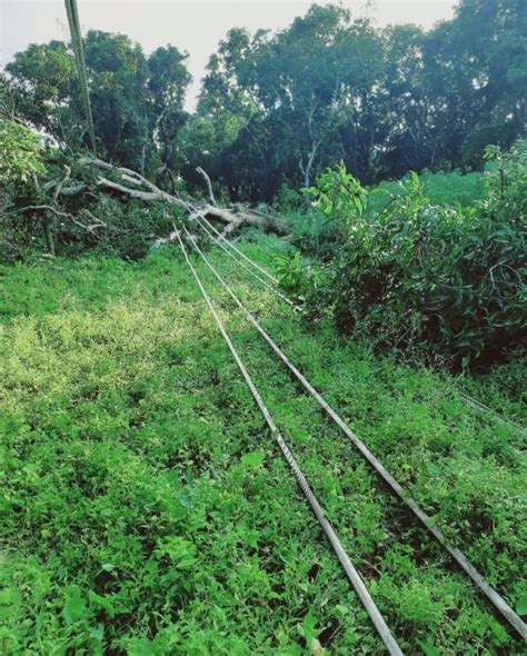 In Bengal, Villagers Say Adani Power's Transmission Tower Ravaged a ...