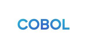 Image result for COBOL Programming Language Icon