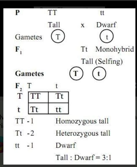 29. a) Read the following content and answer the questions below ...