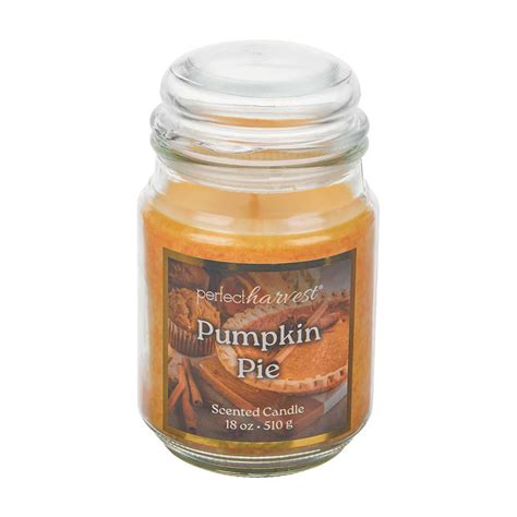 Buy Perfect Harvest Scented Candle, Pumpkin Pie, 18 oz from Dollar ...