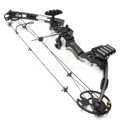Image result for Custom Compound Bow