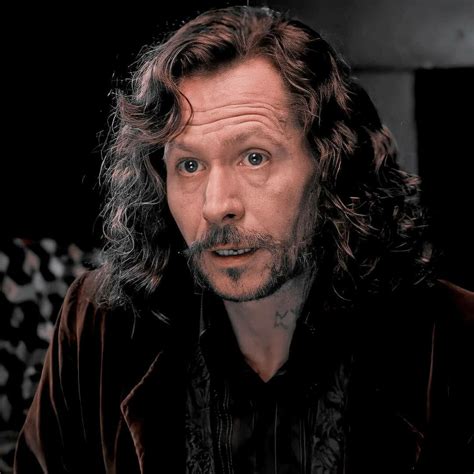 Sirius black | Sirius black, Harry potter, Sirius black gary oldman