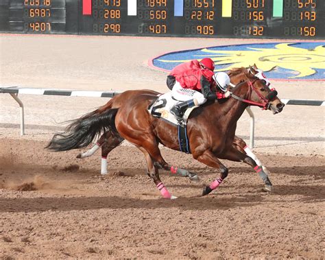 Reddam Racing's Pavlovian Gets the Nod in the Sunland Derby