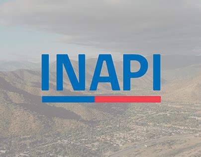 Image result for Inapi Chile
