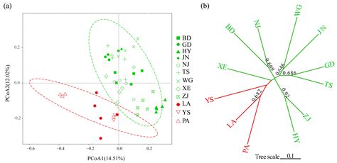 De Novo Transcriptome Assembly and EST-SSR Marker Development and ...