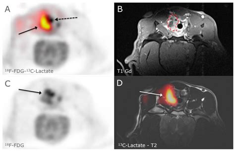Diagnostics | Topical Collection : Hybrid Imaging in Medicine