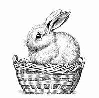 Image result for Cute Bunny in a Basket