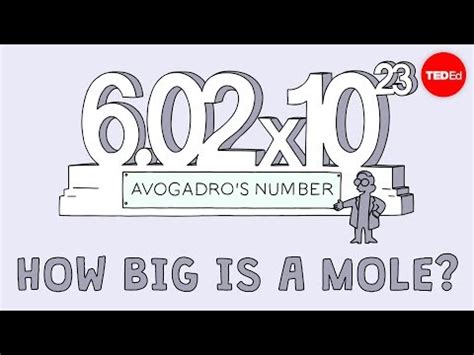 Fun Video: Learning about Mole Video Lecture - NEET