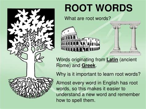 PPT - ROOT WORDS PowerPoint Presentation, free download - ID:4588967