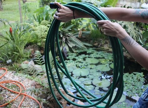 Garden Hose Cleaning Techniques| 10 Tricks to Clean Your Garden Hose ...