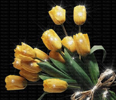 Image result for Tulips Flower Using Python