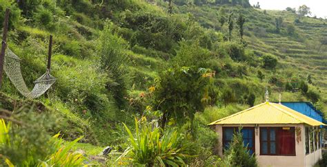 Website of Whispering Pines - Resort in Kanatal, Camping at Kanatal ...