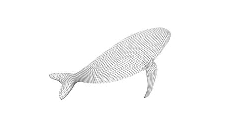 Image result for Whale 3D Tutorial SolidWorks