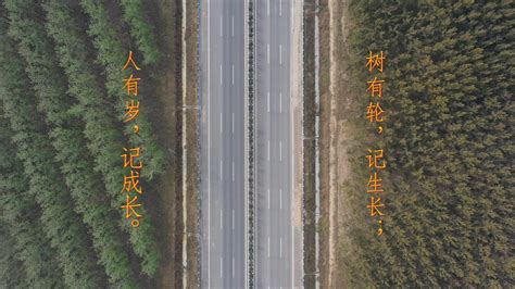 市政道路工程-市政道路工程-宁波融鑫建设有限公司-