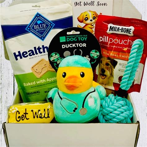 Quak-tastic Recovery, Dog Get Well Soon, Dog Care Package, Dog Gift Box ...