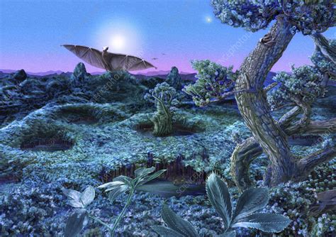 Alien Looks 的图像结果