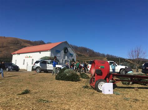 Frosty's Choose & Cut - West Jefferson, NC 28694