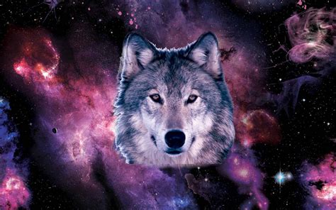 Cool Galaxy Wolf HD Wallpapers (100++) - MrWallpaper.com
