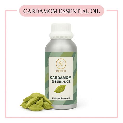 Buy Cardamom Essential Oil | Pure & Steam Distilled Oil – RV Organica