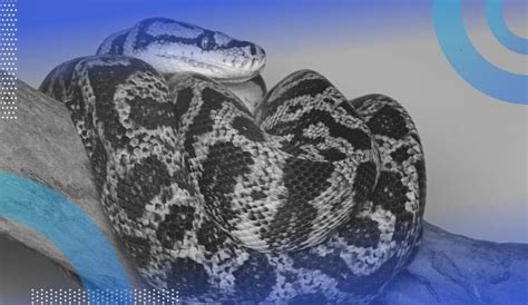 How to Use a Different Time Zone in Python Logging 的图像结果