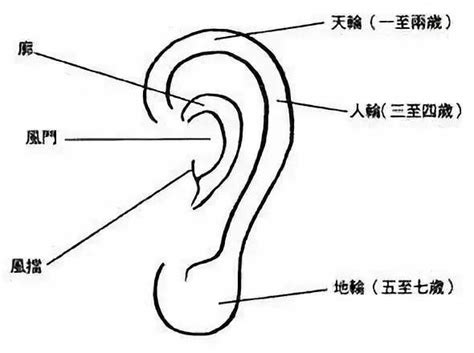 耳朵看相诀窍_耳垂