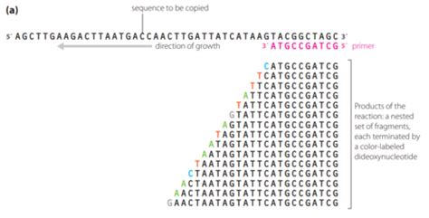 Predictive Testing 的图像结果