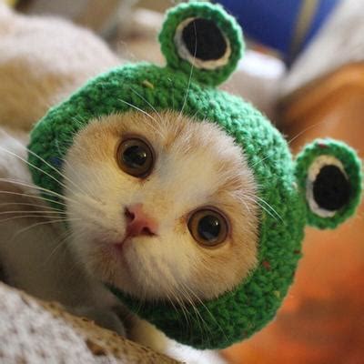 Image result for Create an Executable File
