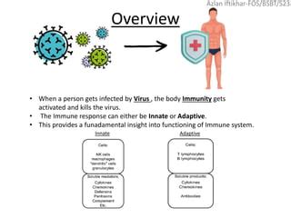 Image result for How Immunity Sytem Work Against Virus Downloadable