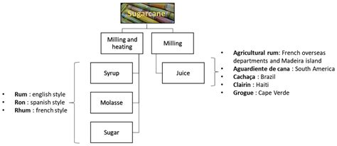 An Overview of Spirits Made from Sugarcane Juice