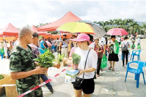 [江门]绿植送市民活动在杜阮镇举行 助力森林小镇建设