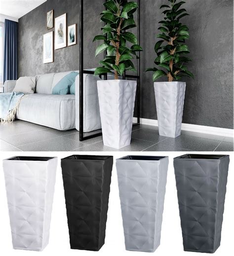 Indoor Tall Potted Plants
