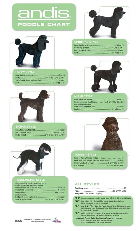 poodle grooming chart Dog Grooming Styles, Dog Grooming Tips, Dog ...