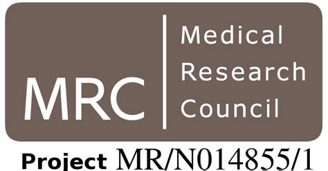 Mathematical and statistical explorations in disease modelling and ...