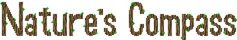 How to Use Nature's Compass 的图像结果