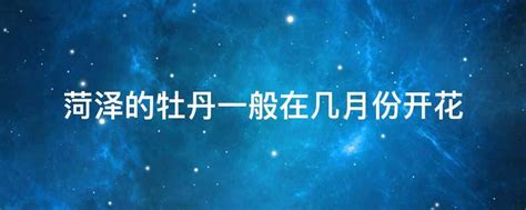 菏泽放松限售：一年卖地444亿 专家称可能被叫停_凤凰网