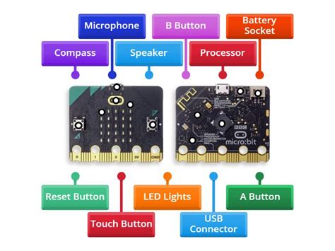 Image result for Micro Bit Front and Back Labelled