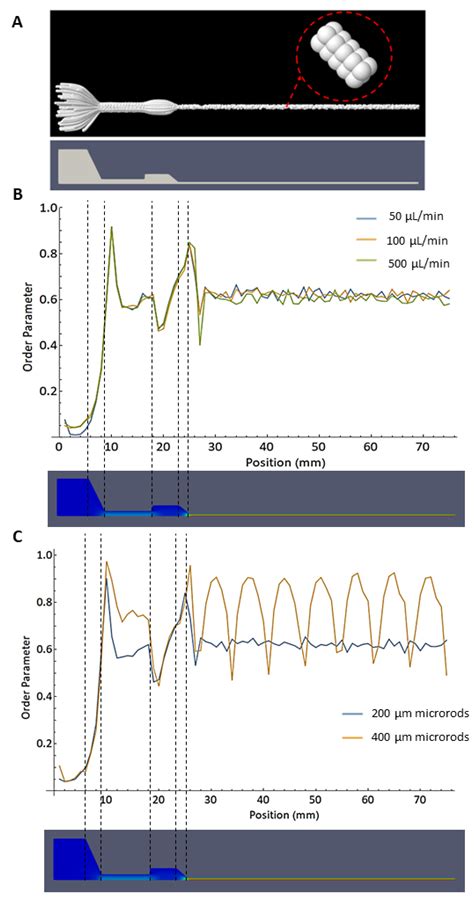 Fabrication of Hydrogel-Based Composite Fibers and Computer Simulation ...